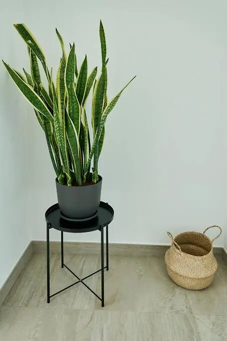 Blue Horizon Apartment Lagos
